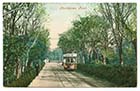 Northdown/Tram 1905 [PC]